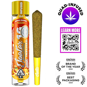 Next Day - Mango Sherbet - Infused Preroll (1g)