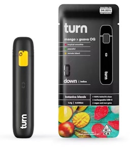 TURN - Turn 1g Mango x Guava Disposable