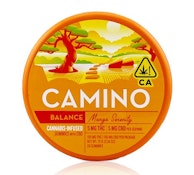 Camino Mango Serenity 1:1 CBD Gummies