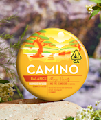 Camino-Mango-Gummies-Balance-200mg-1:1-THC/CBD