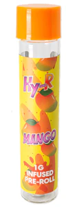 GOLDKINE - HY-R - Mango - (1g) Infused