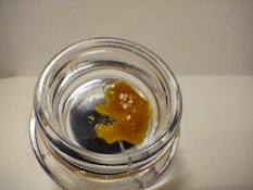 Mango Mentality | 1g Concentrate | Live Resin