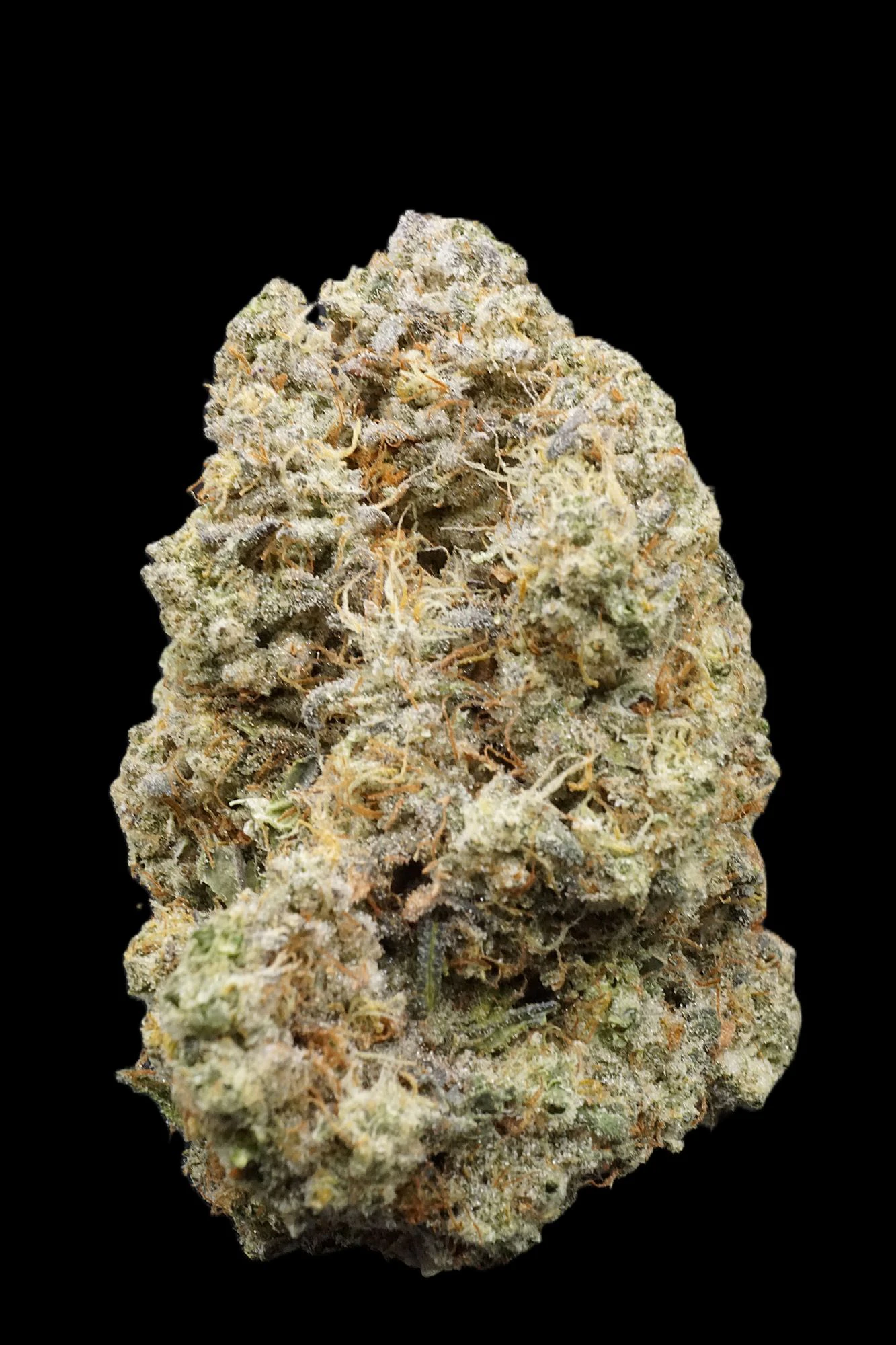 MJ Verdant - Mango Mintality - Buds Main Image