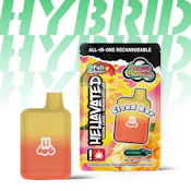Hellavated | Disp Flavor 2g [H] | Mango Dragon