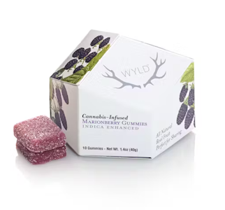 WYLD - WYLD - Marionberry Indica Gummies 100mg