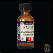 Mule | Muleshine 500mg [I] | Marionberry