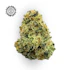 Product Preview Image 1