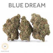 Marygold - Flower - Blue Dream - (S) 3.5g