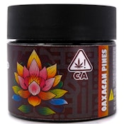 Oaxacan Pines 3.5g Jar - Massive Selections