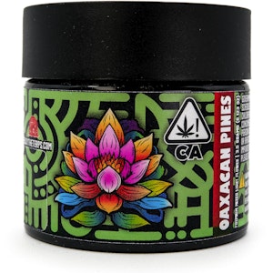 Massive Selections - Oaxacan Pines 3.5g Mixed Lights Jar - Massive Selections