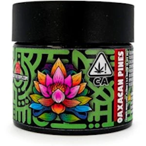 Massive Selections - Oaxacan Pines 3.5g Mixed Lights Jar - Massive Selections