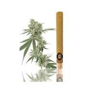 Maui Waui | Infused Blunt | 2g | Left Coast
