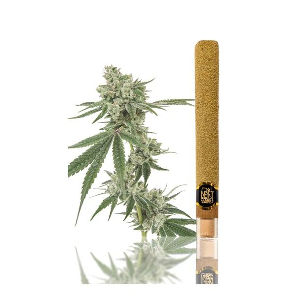 LEFT COAST - Maui Waui | Infused Blunt | 2g | Left Coast Main Image