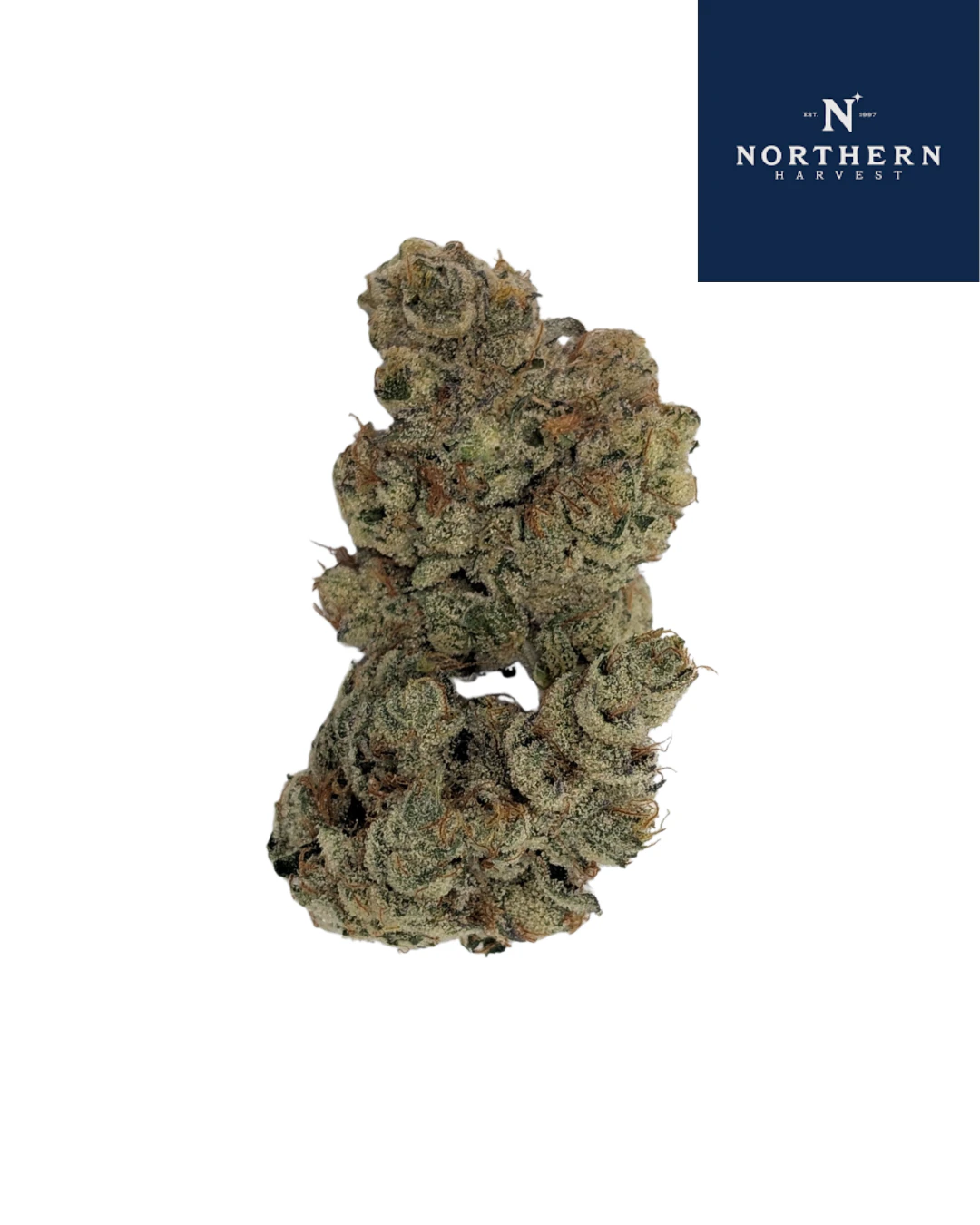 The Northern Harvest - Maui Wowie Main Image