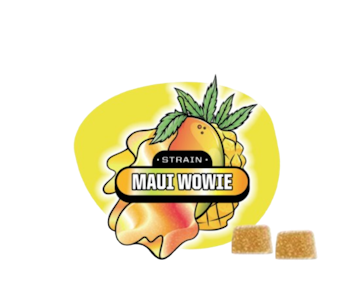 Absolute Extracts - [ABX] Terp Chews THC Gummies -  Maui Wowie - 10mg - 2ct (S)