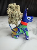 Maui Magilla Glue
