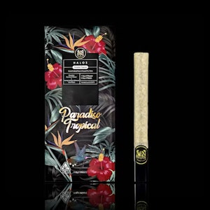 MAVEN GENETICS - Maven Genetics - 1.9g Halo Infused Preroll - Paradiso Tropical