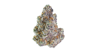 Maven Genetics - 3.5g - Umami Butter