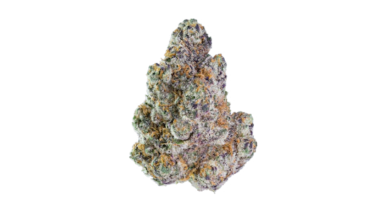Maven Genetics - Maven Genetics - 3.5g - Blue Lotus