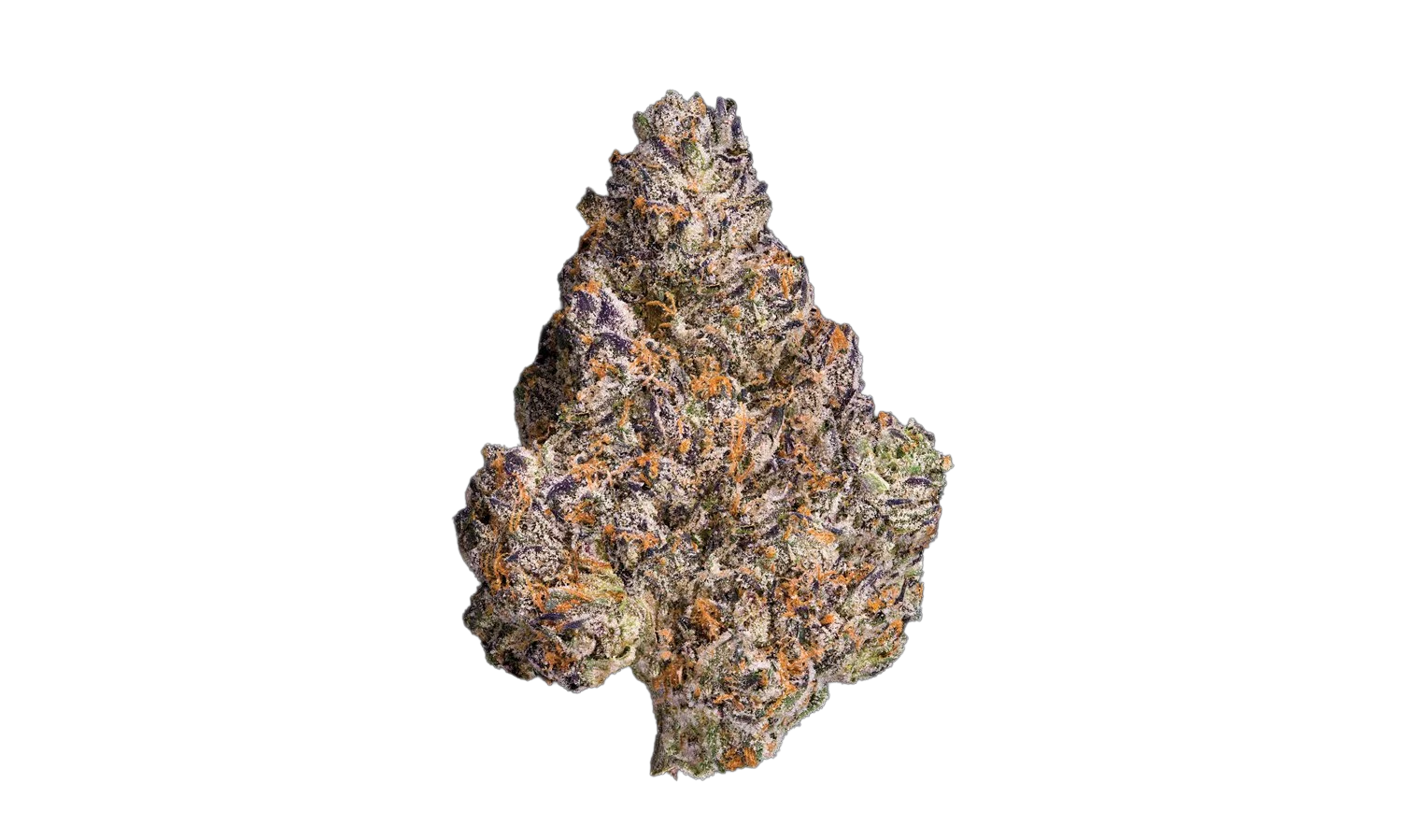 Maven Genetics | Chroma | 3.5g