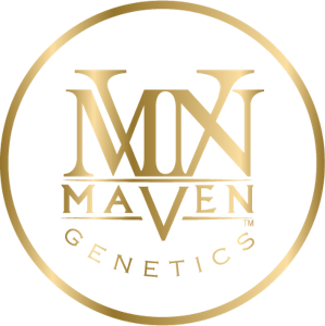 MAVEN GENETICS - Maven Genetics - 5pk Halos Infused Prerolls - French Diamonds