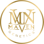 Maven Genetics - 1g Preroll - Shangri-la