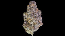 Maven Genetics - 3.5g - Key Lime Jack