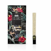 Maven Genetics | Paradiso Tropical | Halos | Rosin Infused | Single