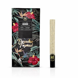 MAVEN GENETICS - Maven Genetics | Paradiso Tropical | Halos | Rosin Infused | Single