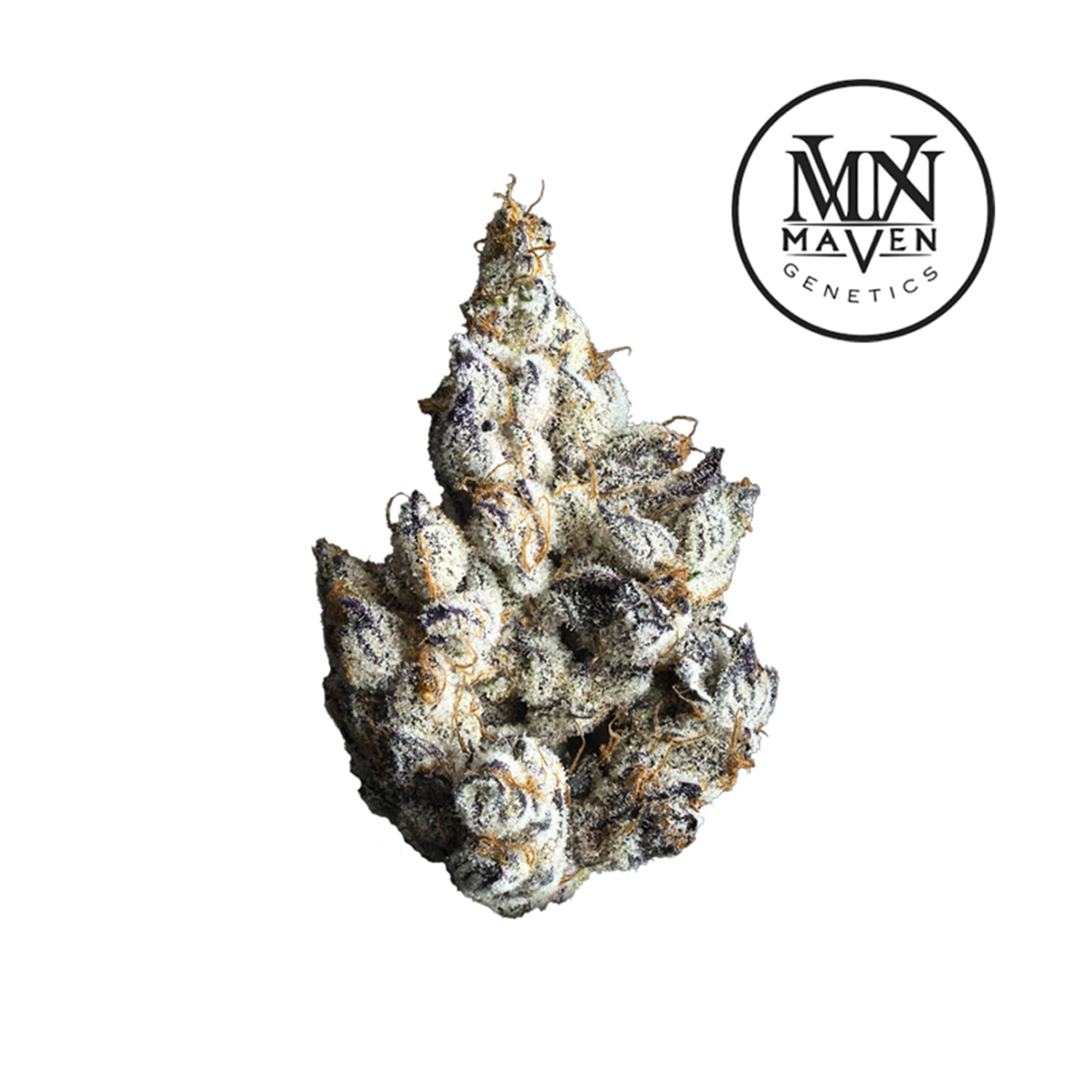 Marijuana Maven - FKAFL Main Image