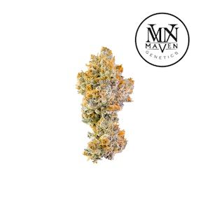 Maven - Orange Bellini