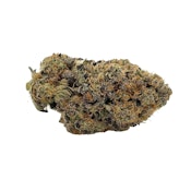[REC] Jersey Strong | Medellin | 3.5g Flower