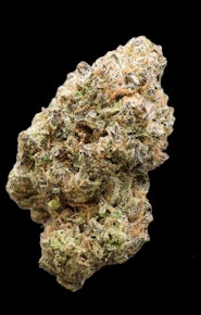 Mega Mind - Buds (Hybrid)