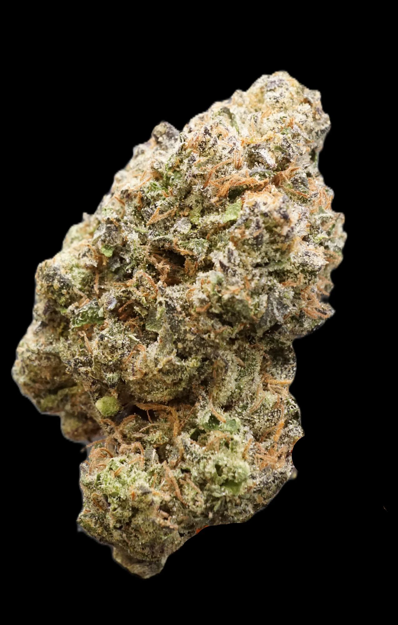 Strange Rootz - Mega Mind - Buds (Hybrid) Main Image