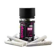 Megan Foxxx | Pre-rolls | 0.5g 7-pack | Dank