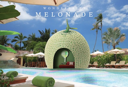 Bliss Co/Wonderbrett - Melonade 3.5g