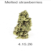HDH - Melted Strawberries