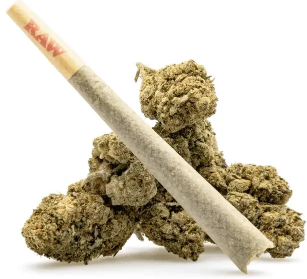 AVIO Supply Co - Avio - Mendo Breath Pre-Roll (1g) Main Image