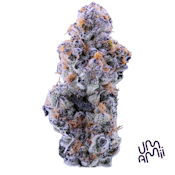 Umamii - Mendo Breath - 3.5g - Flower