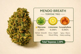 7g - Mendo Breath - Indica Dom Hybrid 