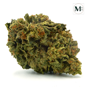 MENDOCINO GRASSLANDS - Zoap - 4.2g (H) - Mendocino Grasslands