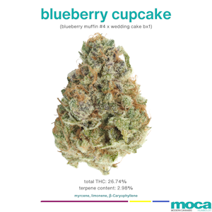 MOCA Flowers - MOCA Flowers - Smalls 1/4 Bag - Blueberry Cupcake