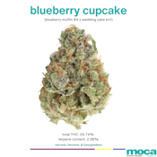 MOCA Flowers - 1G Smalls - Blueberry Cupcake