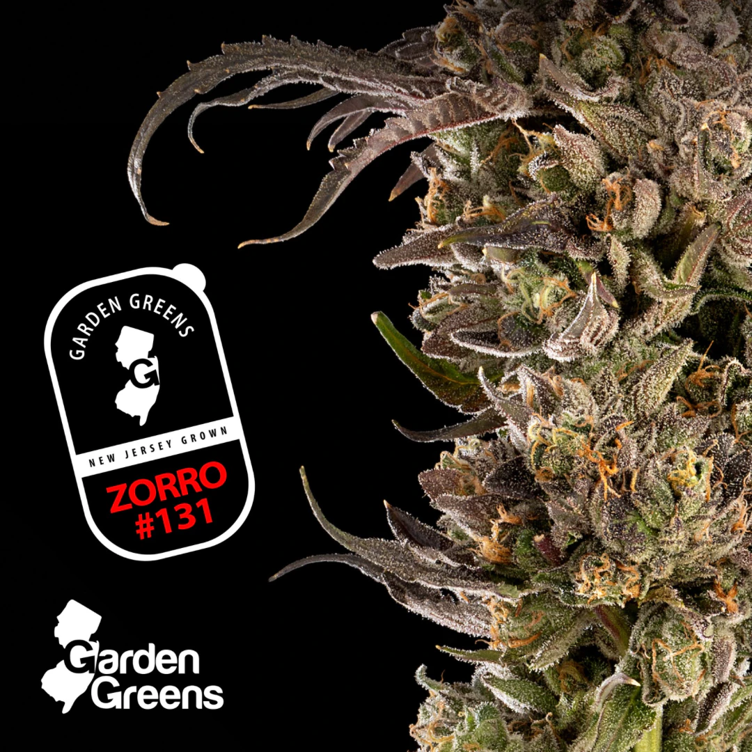 GARDEN STATE BANANA - Zorro 131 3.5g Main Image