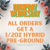 HUMPDAY WEDNESDAY PRE-GROUND PROMO