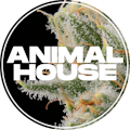 Animal House - Galactic Guava - Kief Infused - 2pk - Preroll