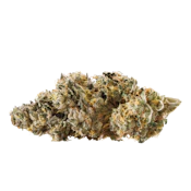 RY Brownie Scout | 3.5g