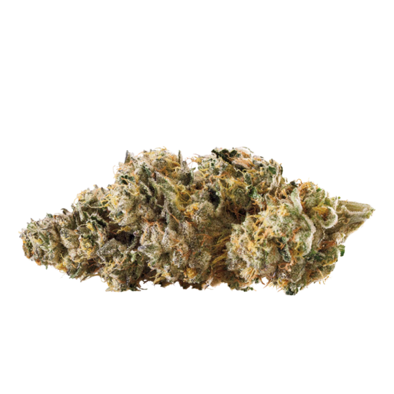 RYTHM - RY Brownie Scout | 3.5g Main Image