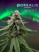 BOREALIS - MERCY 3.5 GRAMS