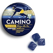 Camino - Team Spirit Michigan Blue Raz Gummies - 100mg